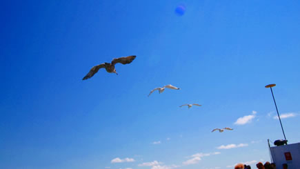 2-Day Bus Tour to Lake George and Lake Placid 2-Day Bus Tour to Lake George and Lake Placid